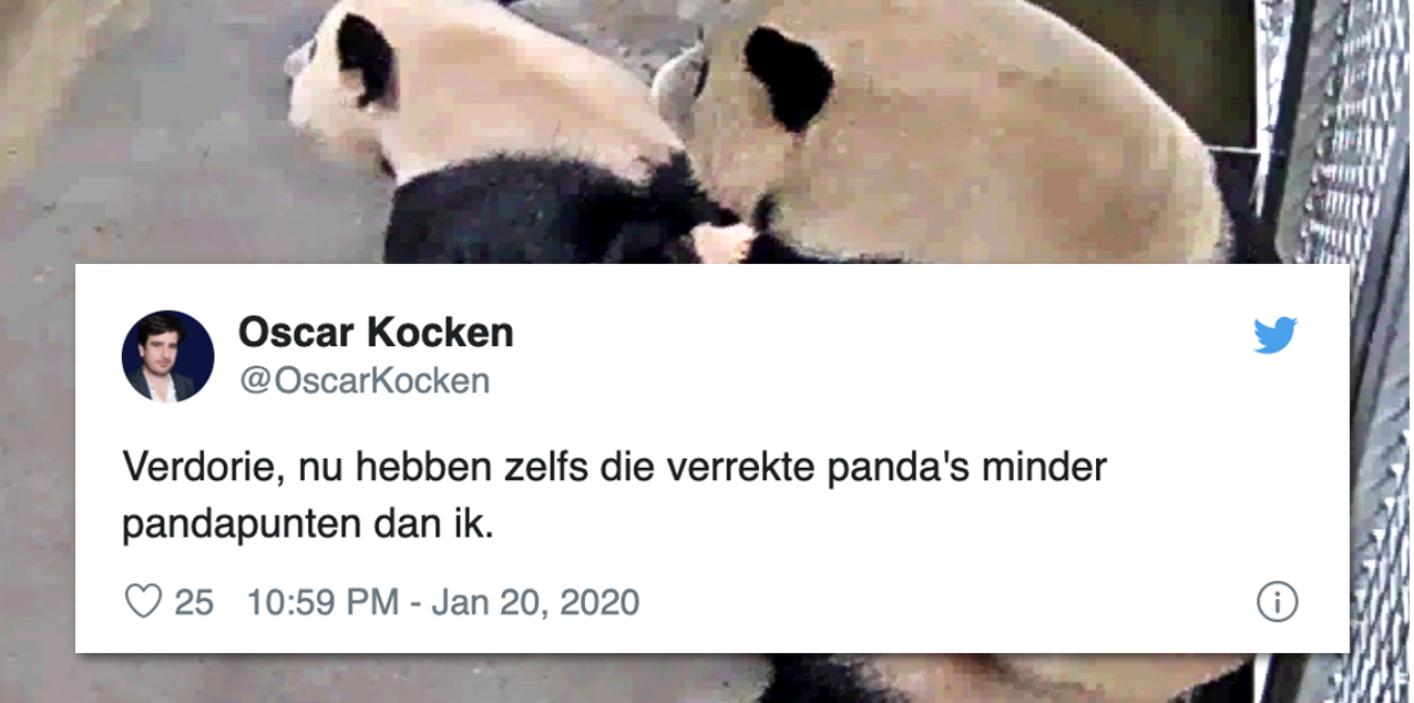 Eindelijk Panda S Xing Ya En Wu Wen Hebben Het Gedaan Diwmotz