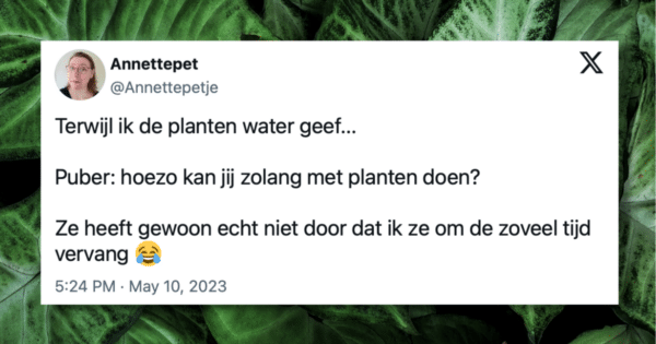 Planten water geven