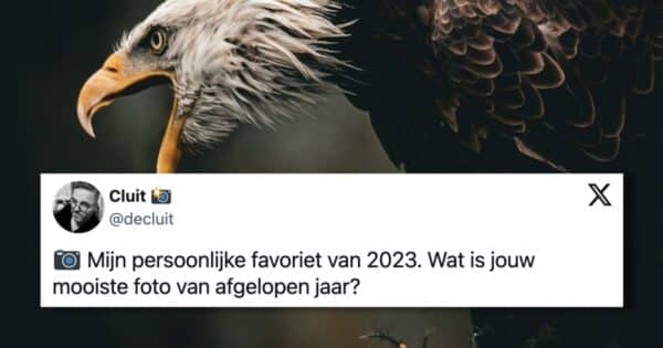 Mooiste foto's van 2023