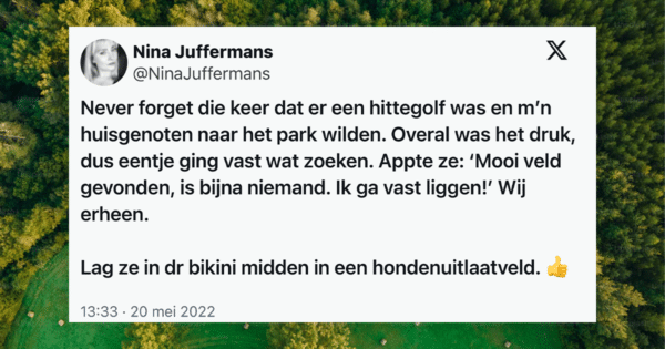 Hondenuitlaatveldje