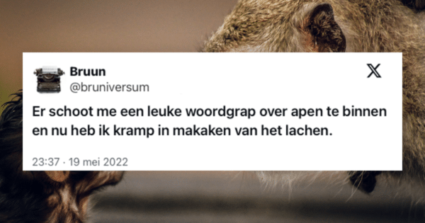 Tweet van Bruniversum over woordgrap