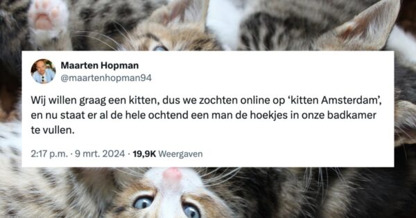 Katten en kattenstreken