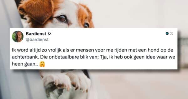 Honden