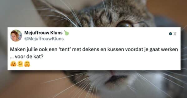 Katten