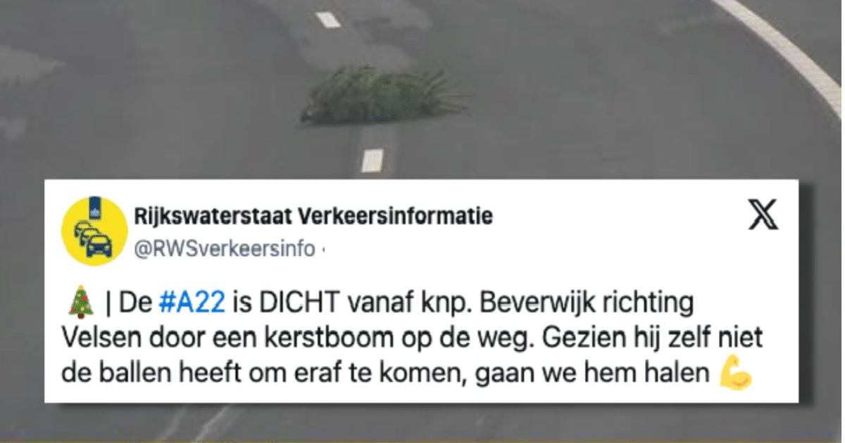 In De Spotlights: Rijkswaterstaat Verkeersinformatie - DIWMOTZ